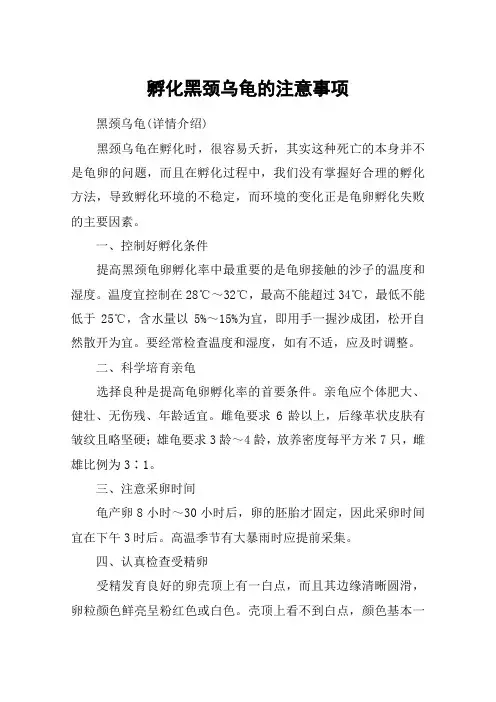 孵化黑颈乌龟的注意事项