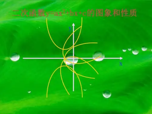 《二次函数y=ax^2 bx c的图象》课件5(9张PPT)(北师大版九年级下)
