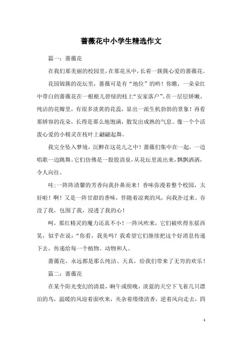 蔷薇花中小学生精选作文
