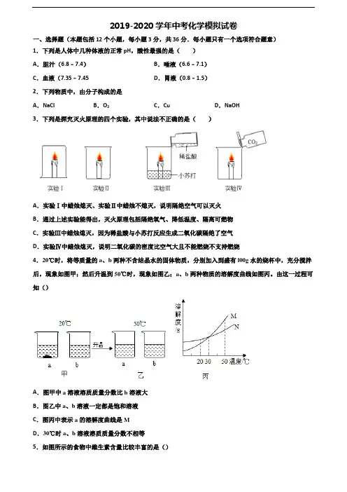 【精选3份合集】山东省泰安市2019-2020学年中考化学经典试题