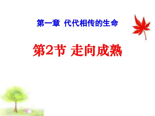 《走向成熟》PPT课件优秀课件