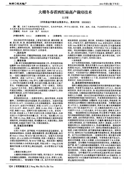 大棚冬春茬西红柿高产栽培技术