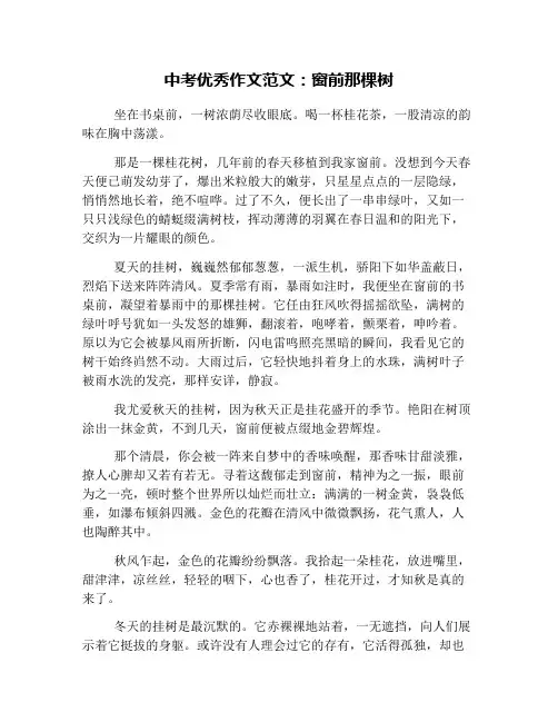 中考优秀作文范文：窗前那棵树
