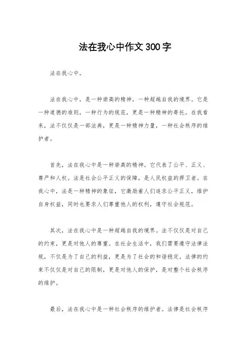 法在我心中作文300字