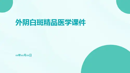 外阴白斑精品医学课件