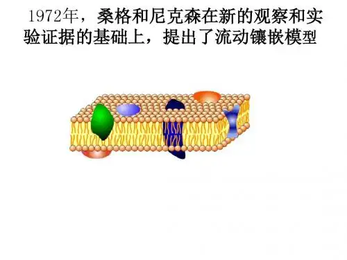 高三一轮复习 第四章 细胞的物质输入和输出.ppt