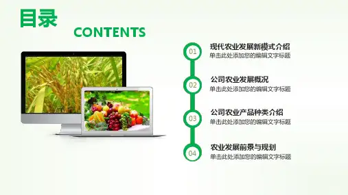 农村电商ppt图文课件