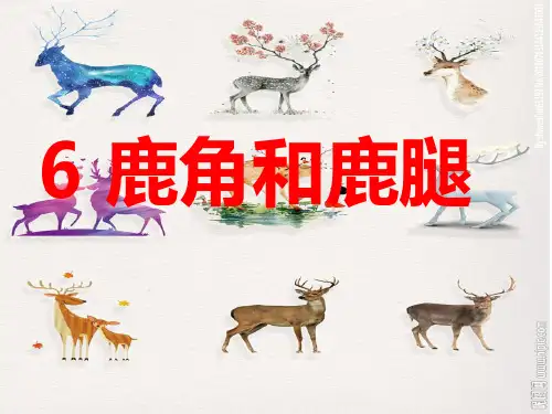 部编版人教版小学三年级语文下册《.鹿角和鹿腿》精品教学课件