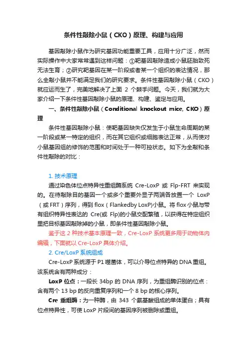 条件性敲除小鼠（CKO）原理、构建与应用