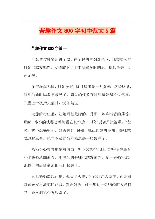 苦趣作文800字初中范文5篇