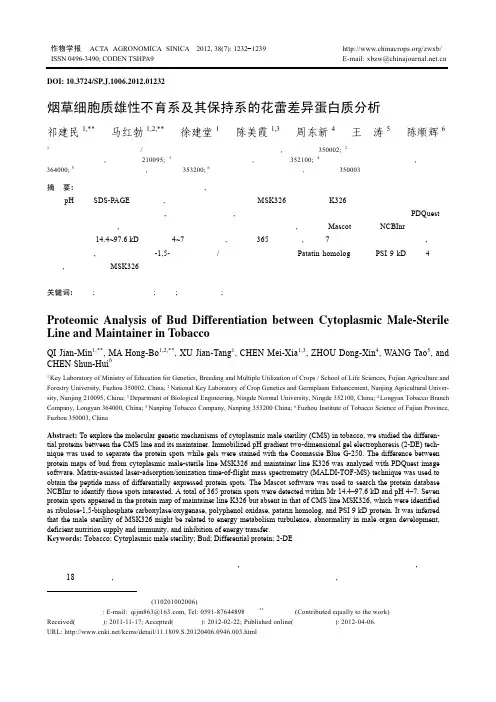 烟草细胞质雄性不育系及其保持系的花蕾差异蛋白质分析