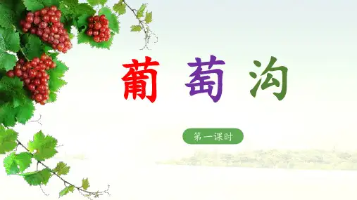 《葡萄沟》教学课件(第一课时)