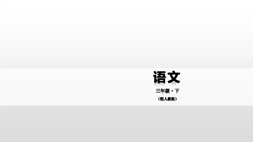 三年级下册语文课件-03  荷花 人教部编版(共34张PPT)