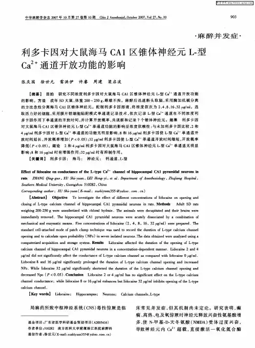 利多卡因对大鼠海马CA1区锥体神经元L-型Ca 2+通道开放功能的影响