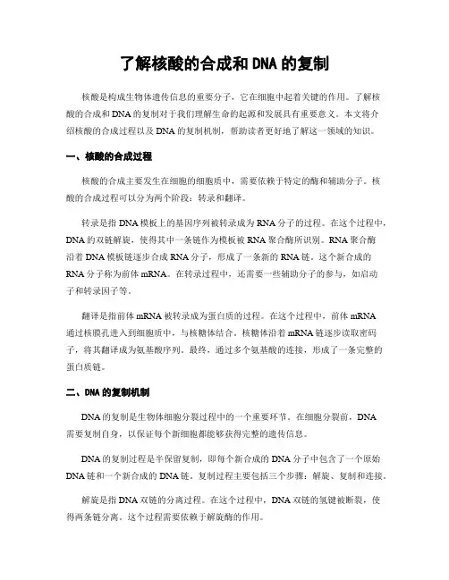 了解核酸的合成和DNA的复制