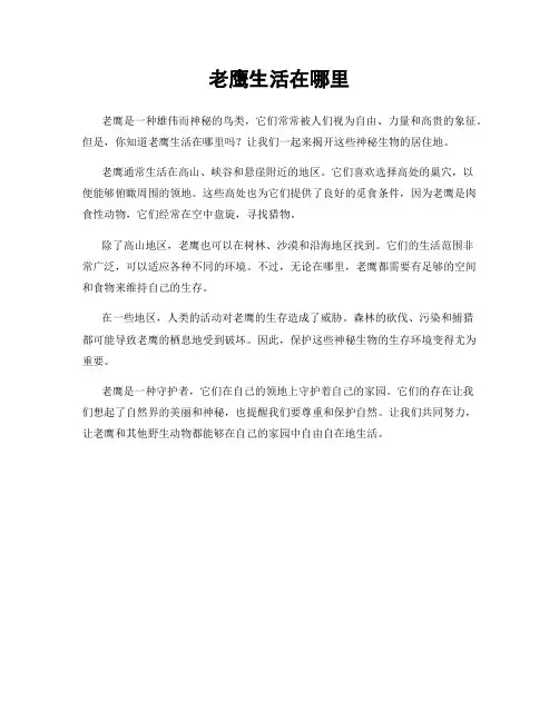老鹰生活在哪里