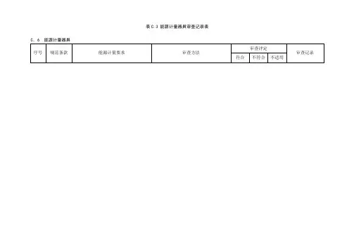 表C.3 能源计量器具审查记录表
