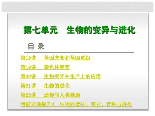 高考生物一轮复习 第7单元 生物的变异与进化课件 浙科