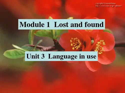 外研版英语七年级下册教学课件Module1Unit 3  Language in use (共15张PPT)