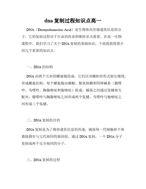 dna复制过程知识点高一