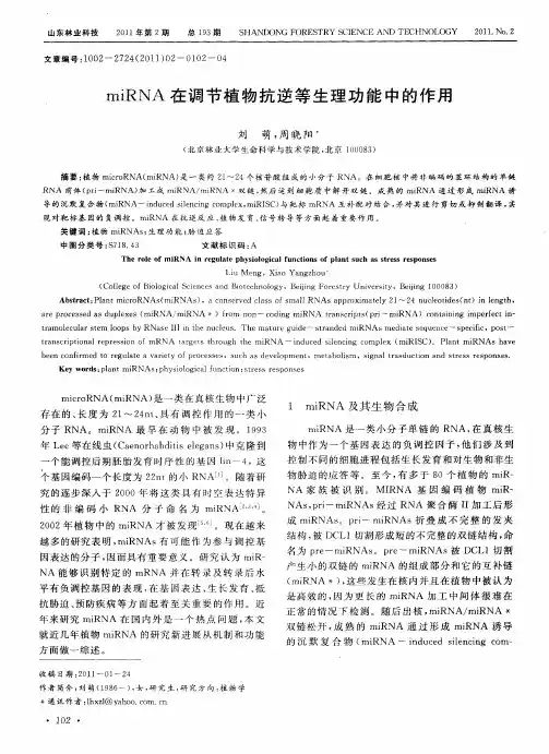 miRNA在调节植物抗逆等生理功能中的作用