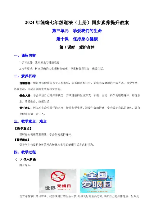 10.1 爱护身体(高效实用教案)七年级道德与法治上册(统编版2024)