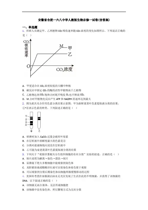 安徽省合肥一六八中学人教版生物必修一试卷(含答案)