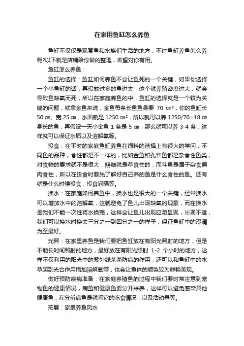 在家用鱼缸怎么养鱼
