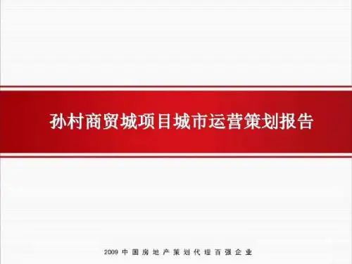 世联怡高济南市孙村商贸城项目城市运营策划报告