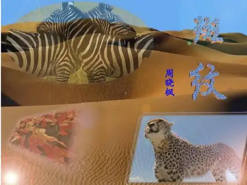 《斑纹》用