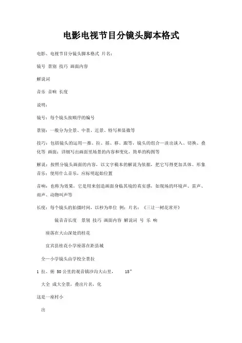 电影电视节目分镜头脚本格式
