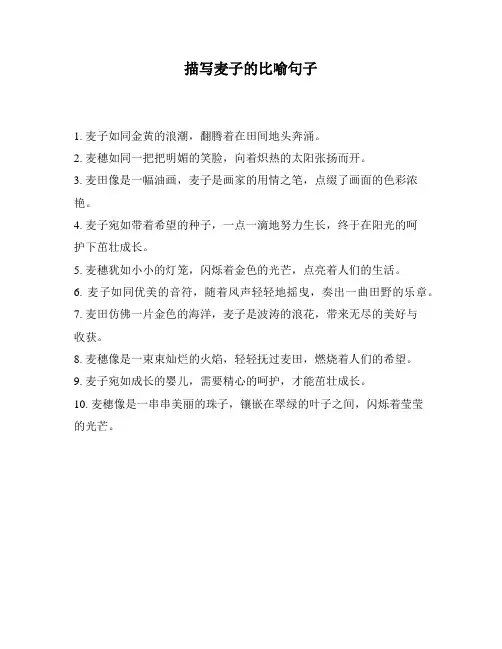 描写麦子的比喻句子