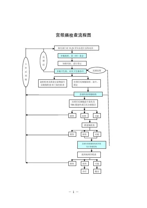 两癌筛查流程图