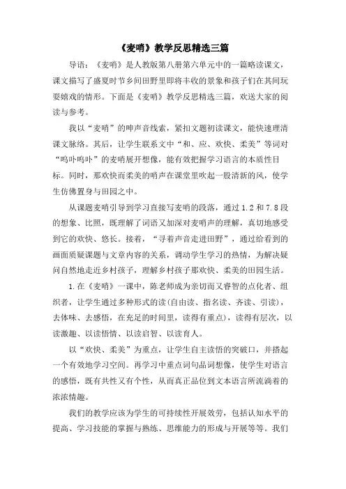 《麦哨》教学反思三篇