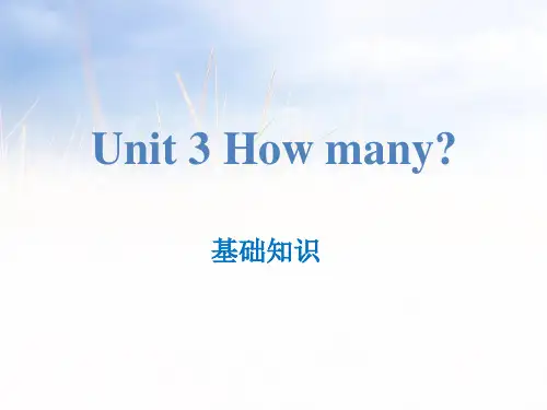 How many-基础知识ppt优秀课件