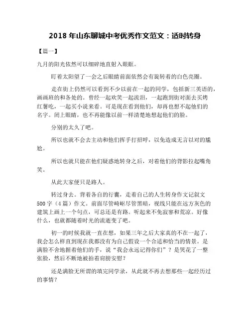 2018年山东聊城中考优秀作文范文：适时转身