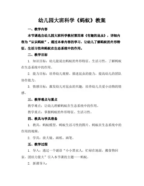 幼儿园大班科学《蚂蚁》教案