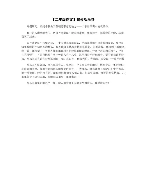 【二年级作文】我爱欢乐谷