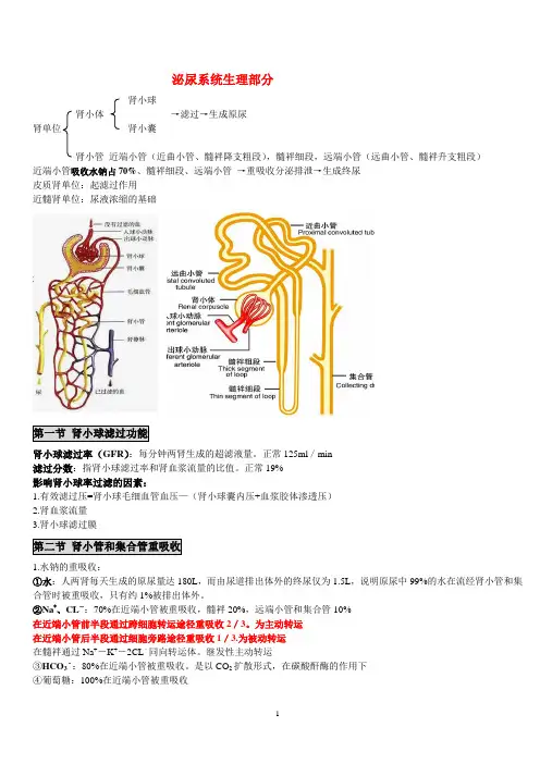 2012执业助理医师泌尿系统笔记 涵盖历年考点 完美给力