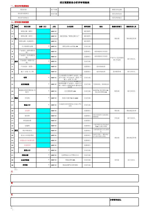 项目预算财务分析评审明细表-模板