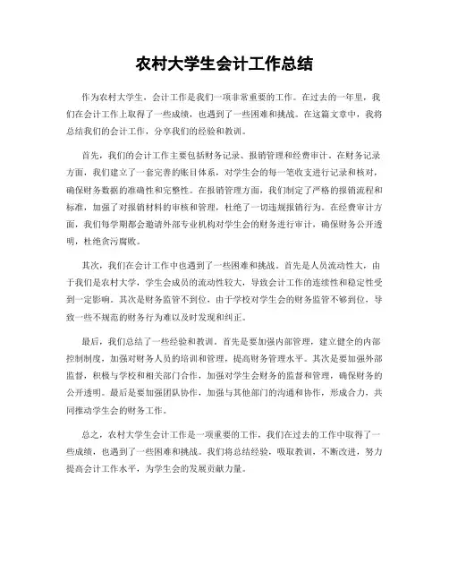 农村大学生会计工作总结