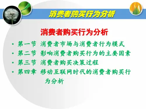 市场营销课件：消费者购买行为分析