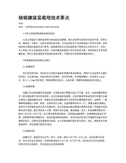 核桃嫁接苗栽培技术要点