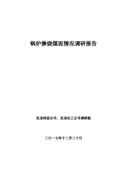 锅炉掺烧煤泥情况调研报告