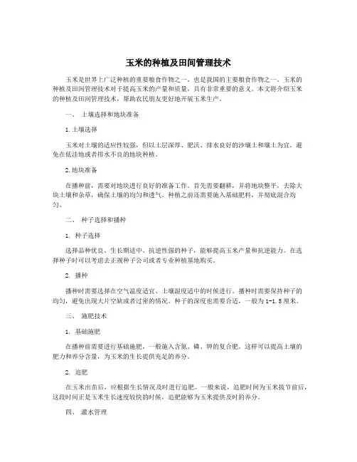 玉米的种植及田间管理技术