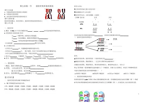 基因突变和基因重组导学案
