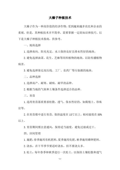 大榛子种植技术