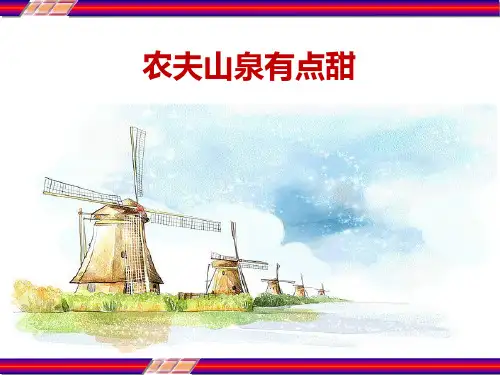 农夫山泉stp战略分析 ppt