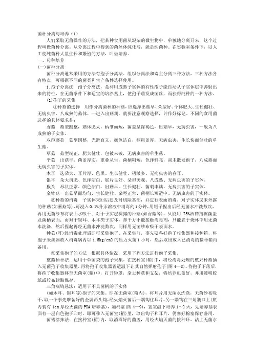 菌种分离与培养
