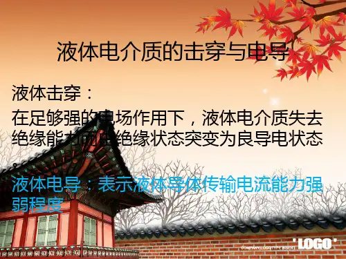 液体电介质